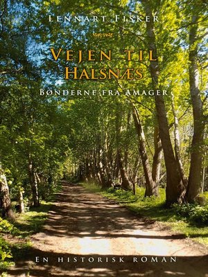 cover image of Vejen til Halsnæs
